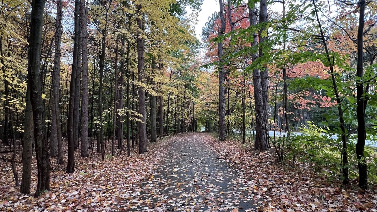 West Olive House | Hot tub, Nature, Parks and Beaches! Right in between Holland and Grand Haven.
