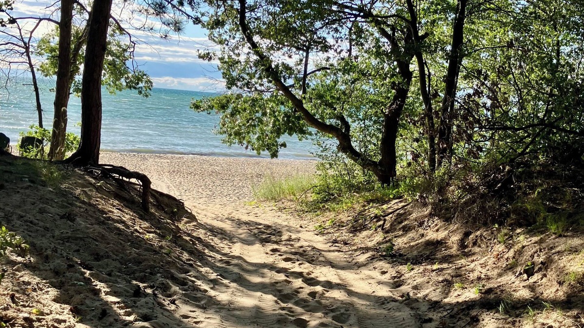 Port Austin Cottage | Hot Tub, pristine beach access, 2-bdrm cottage with AC, WiFi near Port Austin #2