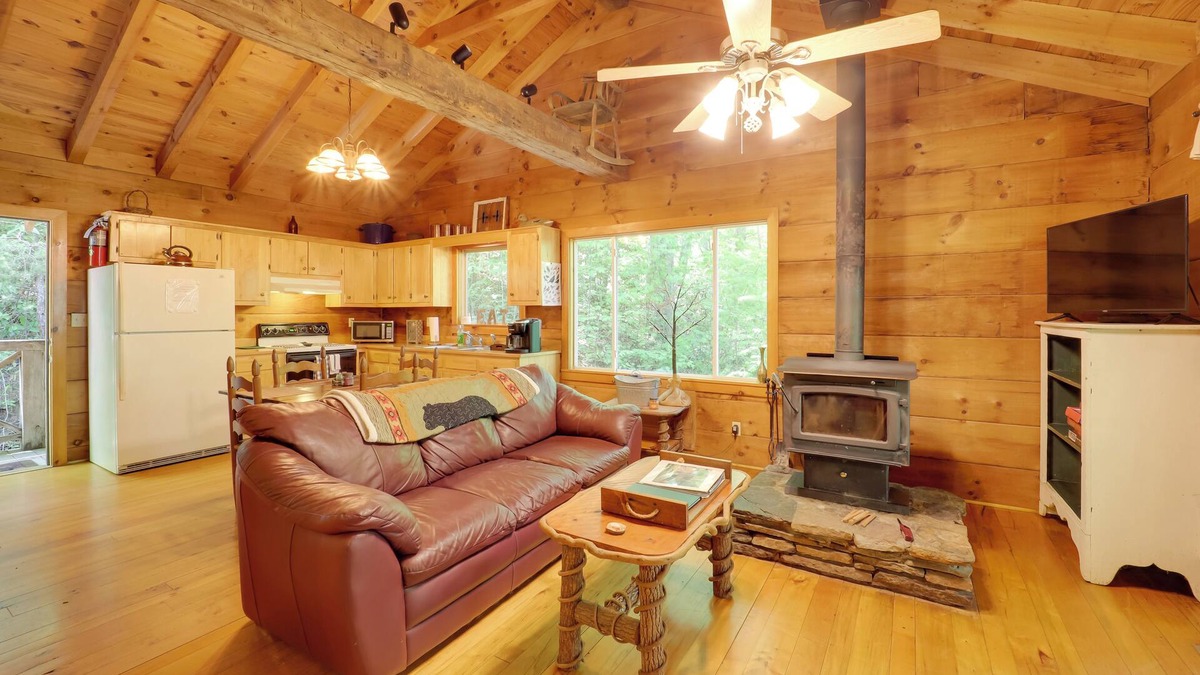 Vein Mountain Cabin | Hot Tub & Trail Access: Relaxing Marion Cabin