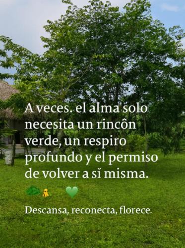 Tanchachin Other | Hotel - CABAÑAS THAJU - HUASTECA POTOSINA