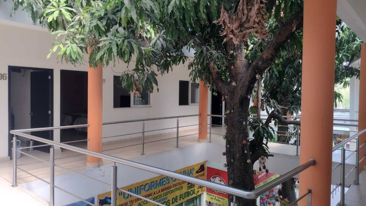 Zona Centro Hotel | Hotel Centro Valles