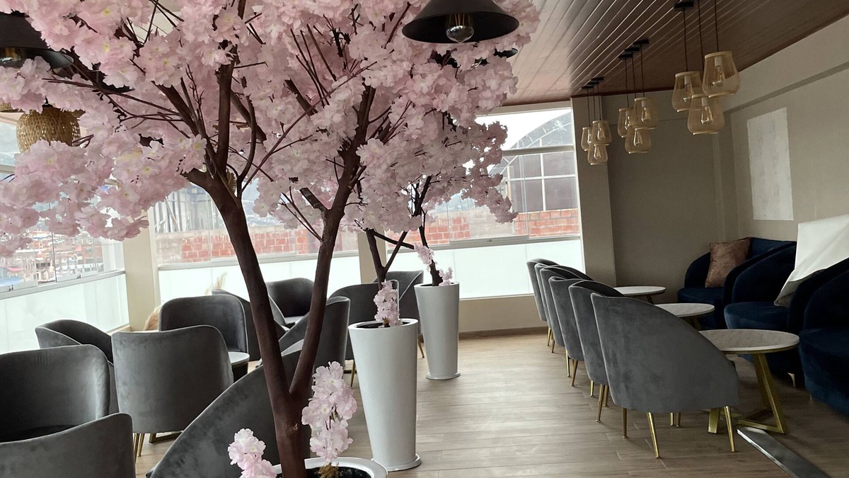 Los Jardines Hotel | HOTEL EL ALAMO EJECUTIVO & SPA