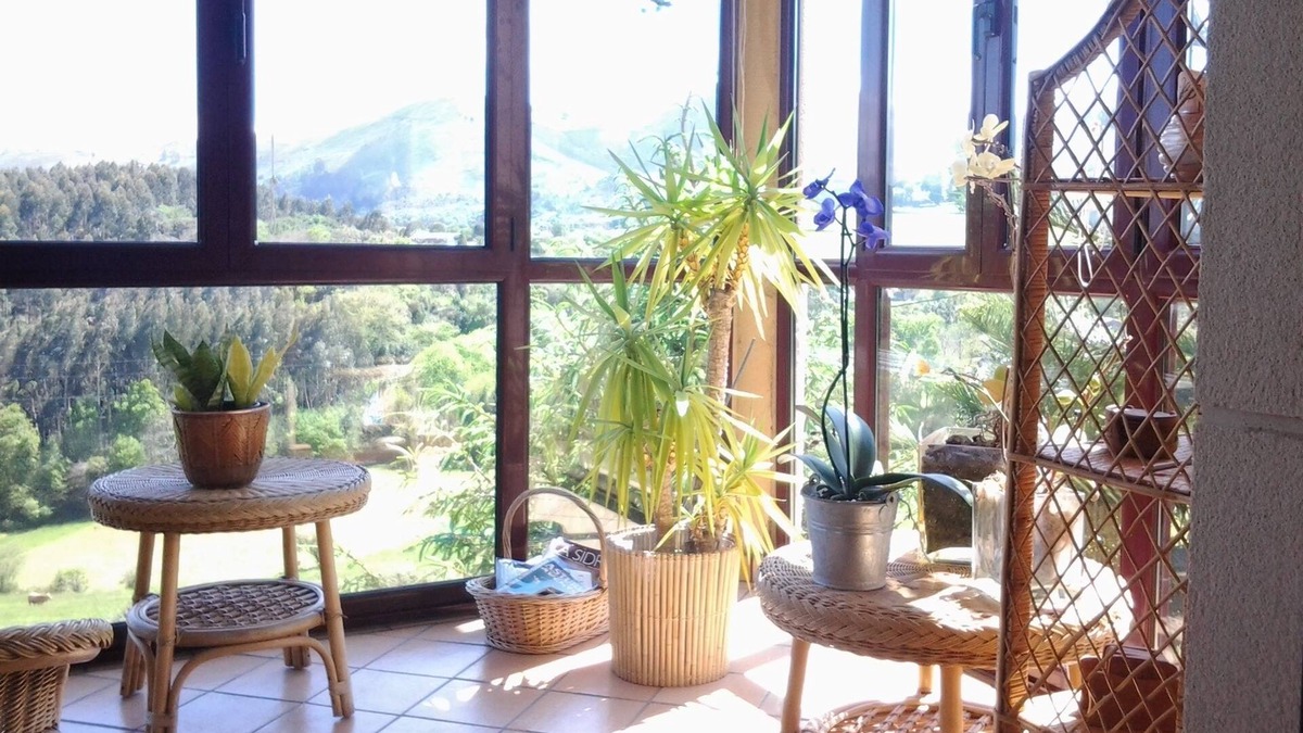 Pando Hotel | Hotel Foronda