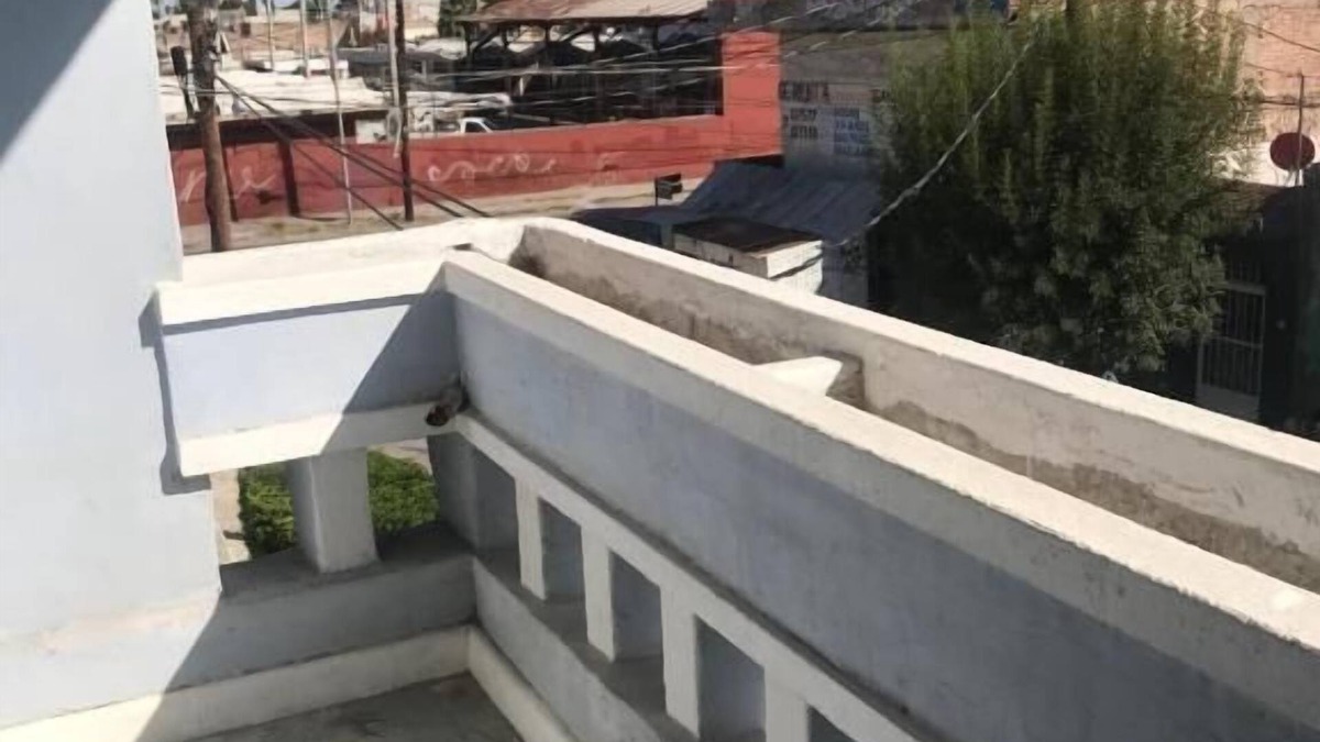 Torreon Hotel | Hotel Fundadores