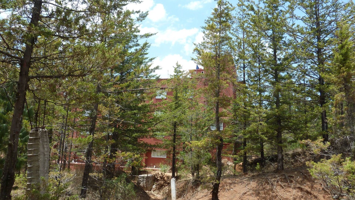 El Oro Hotel | Hotel Gold