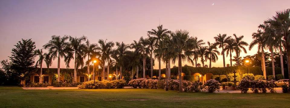 Navojoa Hotel | Hotel Hacienda Cazadores
