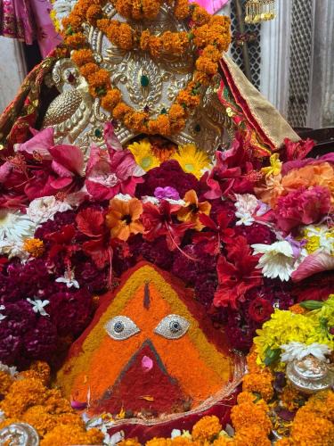 Amb Hotel | Hotel JAI MATA CHINTPURNI FAMILY HOTEL