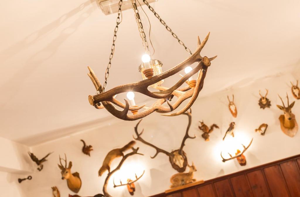 Repen Hotel | Hotel Krizman