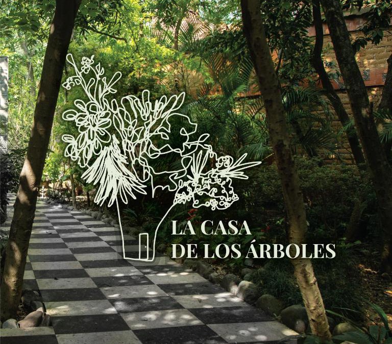 Zacaulpan de Amilpas Hotel | Hotel La Casa de los Árboles Immersive Experience