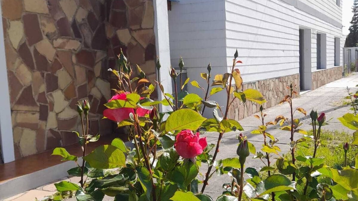 Los Antiguos Hotel | HOTEL LOS ANTIGUOS