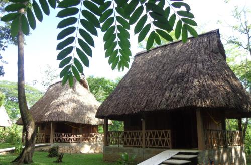 Frontera Corozal Hotel | Hotel Nueva Alianza