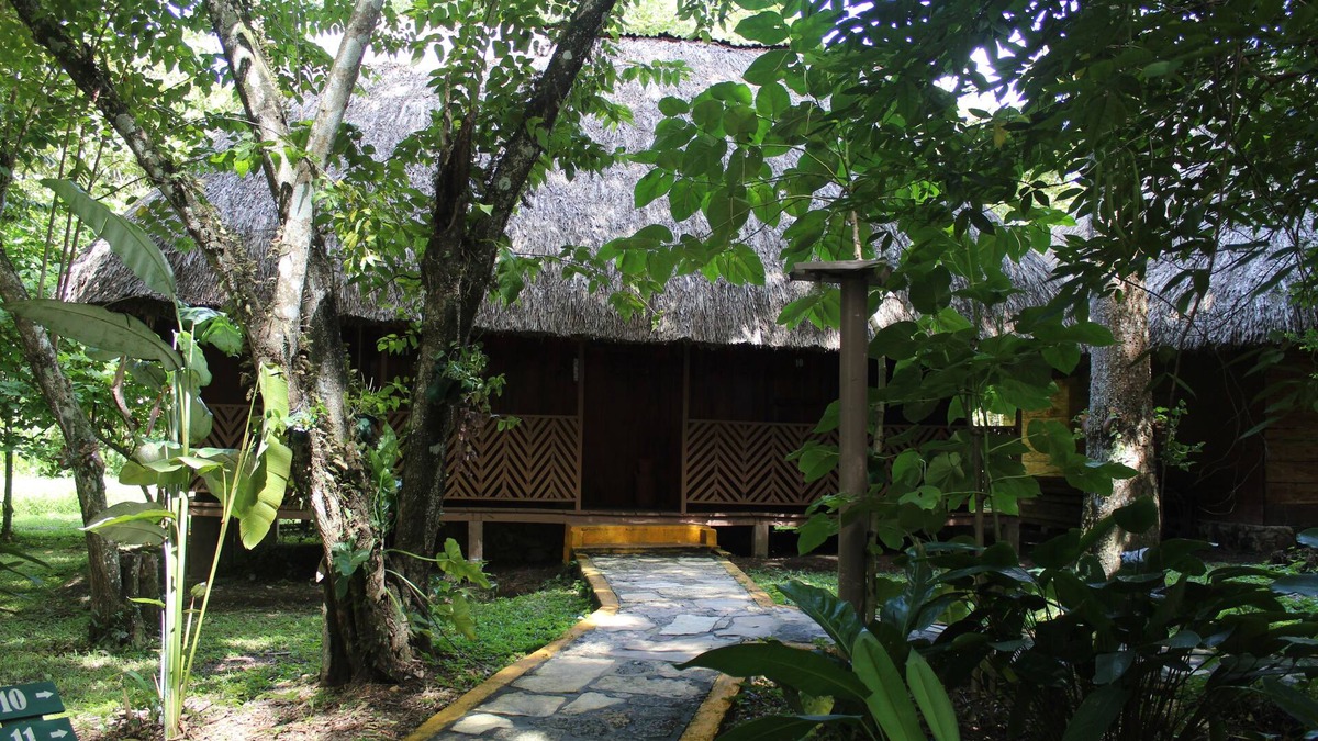 Frontera Corozal Hotel | Hotel Nueva Alianza