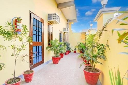 Moradabad Hotel | Hotel O Glory green farms and guest house