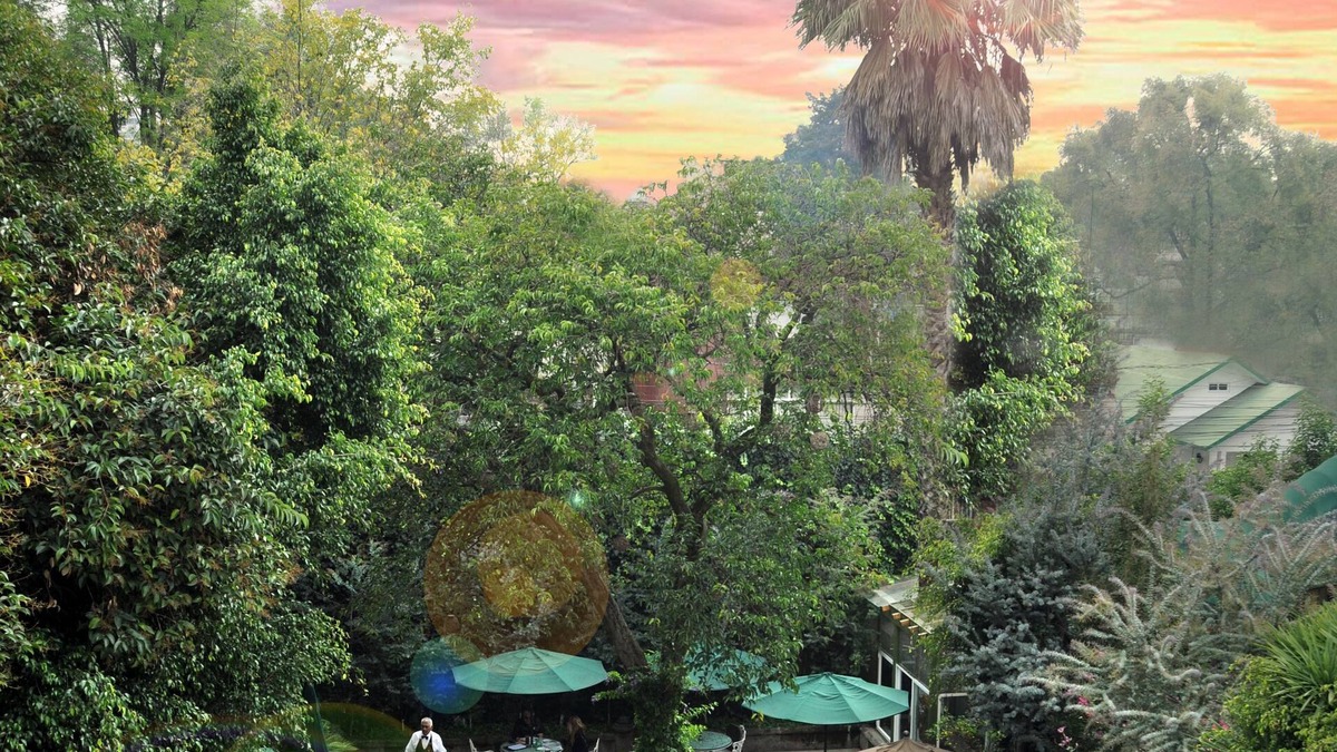 San Miguel Chapultepec Hotel | Hotel Park Villa