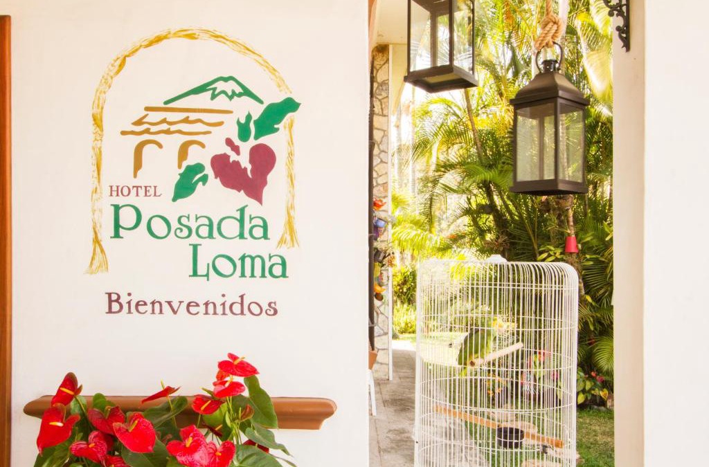 Fortin de las Flores Hotel | Hotel Posada Loma