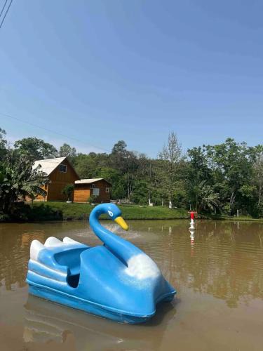 Caibi Other | Hotel, Pousada e camping Recanto Nativo