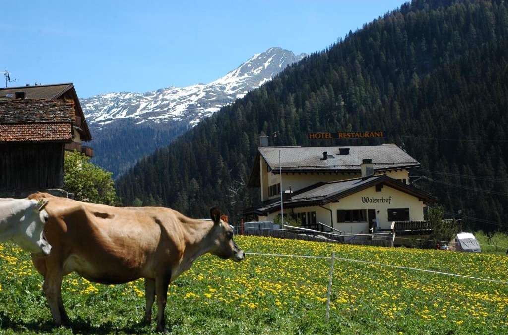 Medels im Rheinwald Hotel | Hotel Restaurant Walserhof