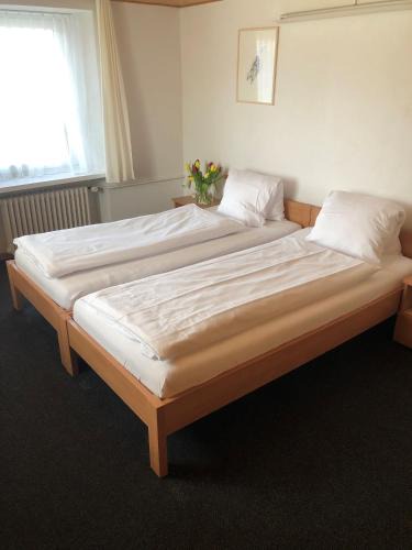 Maienfeld Hotel | Hotel Restaurant Heidihof