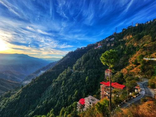 Shimla House | Hotel Royal Cedar Simla