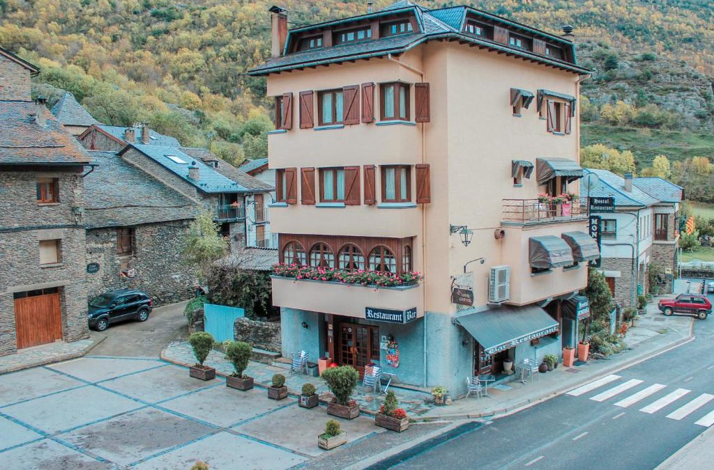 Alins Hotel | Hotel Saloria