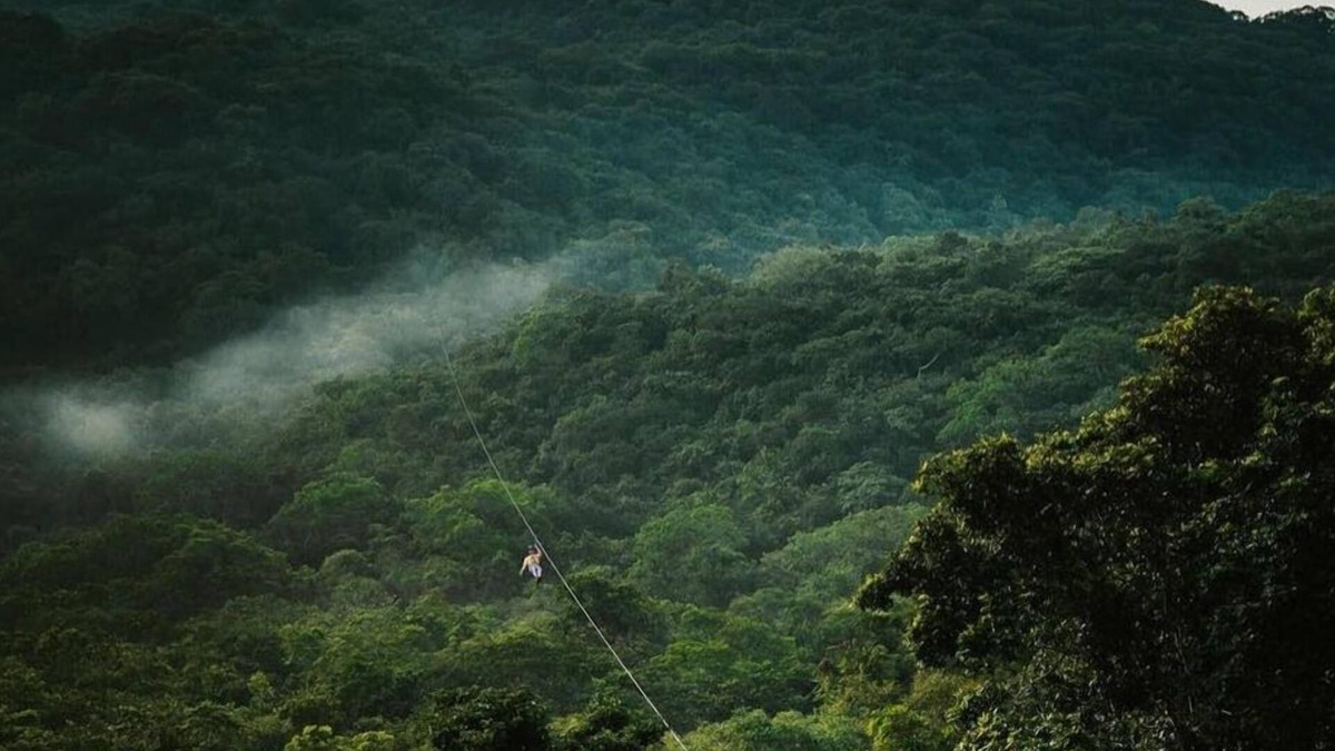 Gomez Farias Hotel | Hotel San Vicente