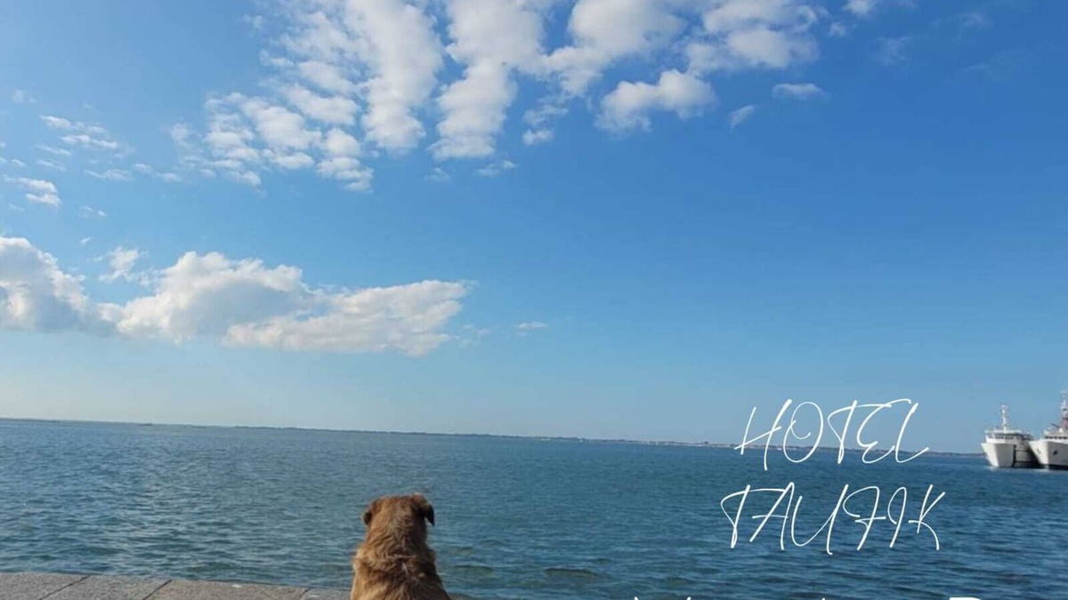 Centro Hotel | Hotel Taufik