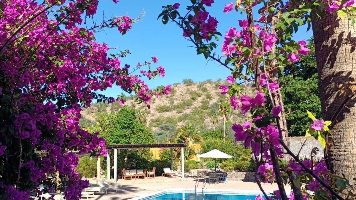 Puerto Escondido Hotel | Hotel Tripui