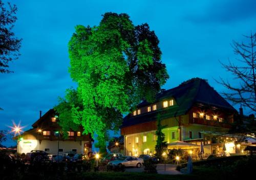 Finkenstein am Faaker See Hotel | Hotel Zollner