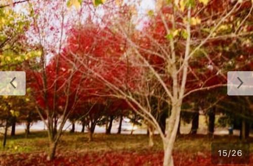 Houghton Bed & Breakfast | Houghton Stone Villa