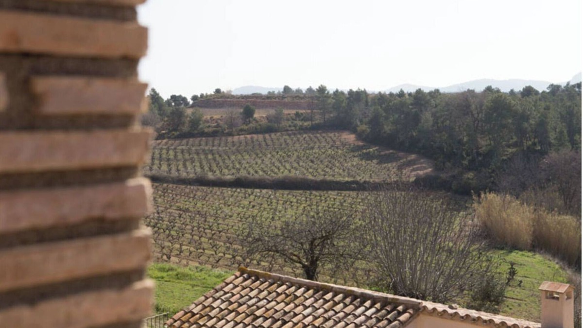 Aiguamurcia House | House 2/