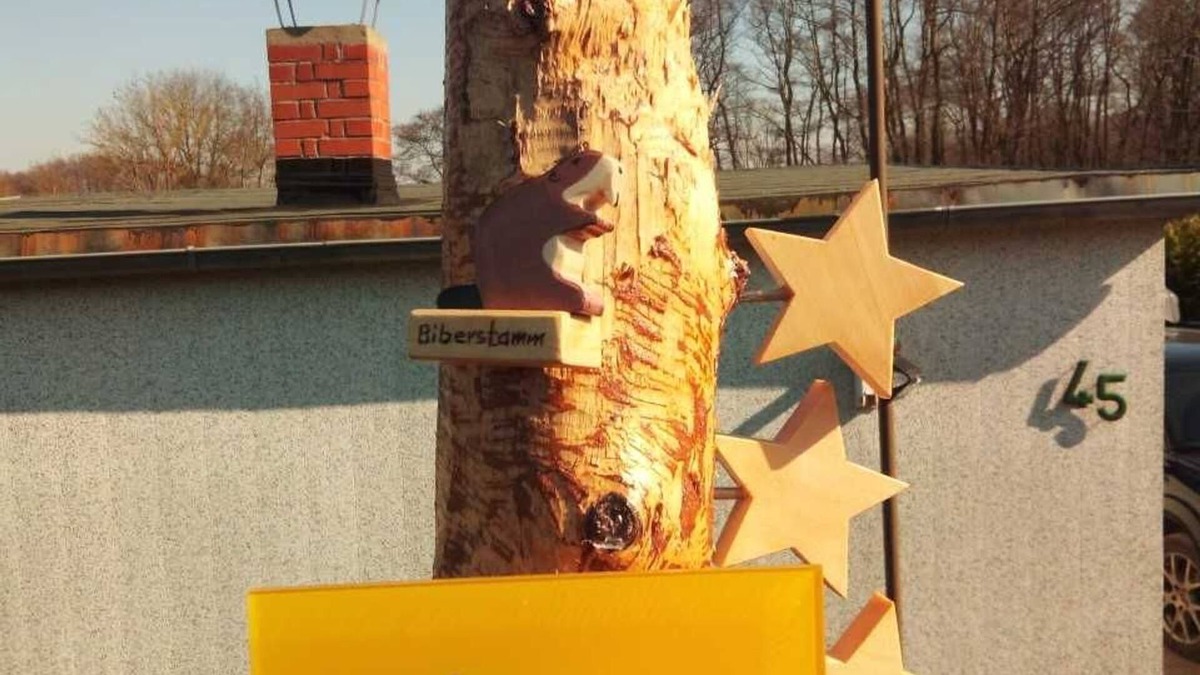 Riepke House | House 500 meters to the water - cheaper bungalow on nice plot