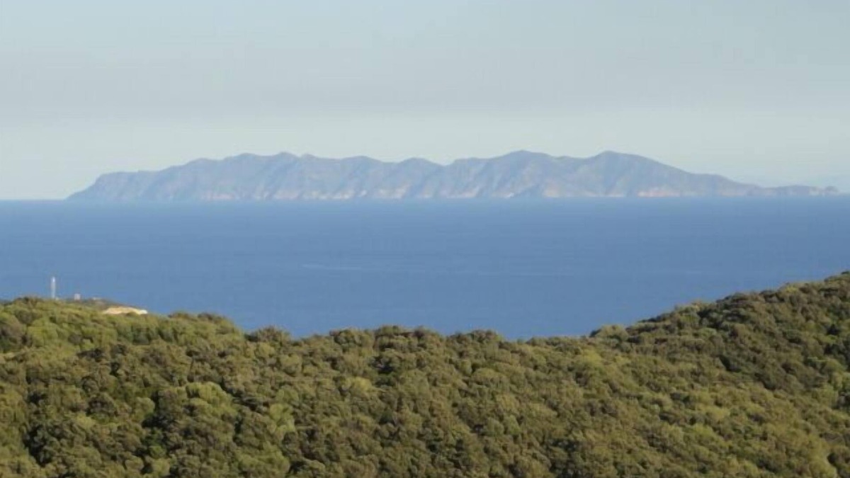 Rogliano Apartment | House beautiful nature sea and mountain views, garden, air conditioning