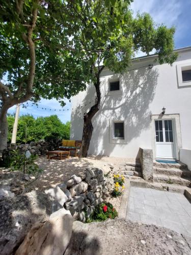 Belej House | House Belej - Lola