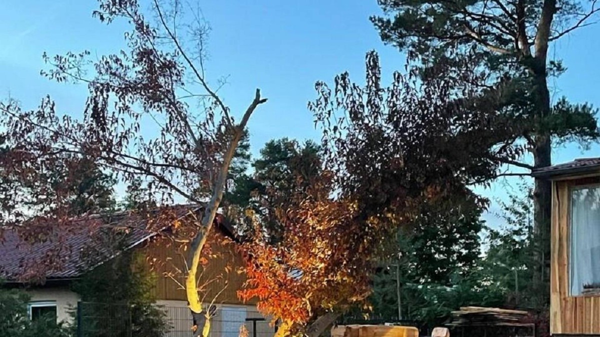 Jessern House | House