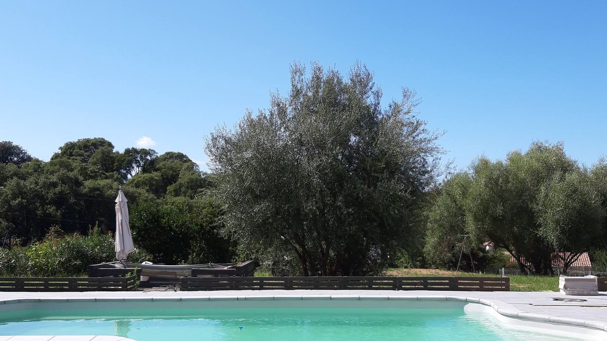Cuttoli-Corticchiato House | HOUSE F4 WITH POOL IN THE COUNTRY