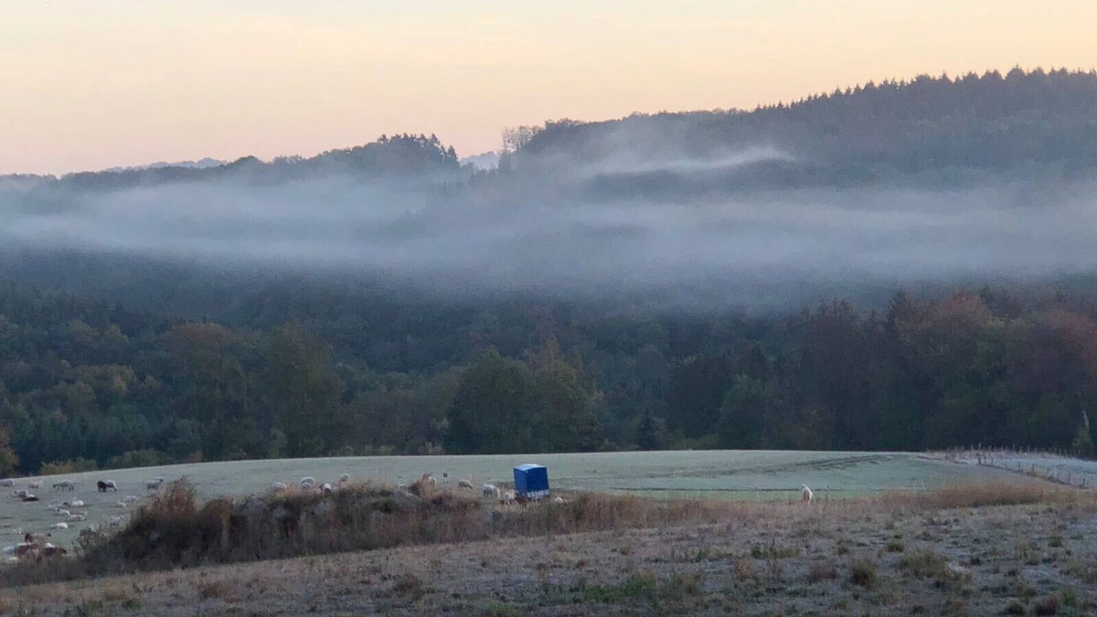 Windhagen Apartment | House in nature. Windhagen is a municipality in the Neuwied district