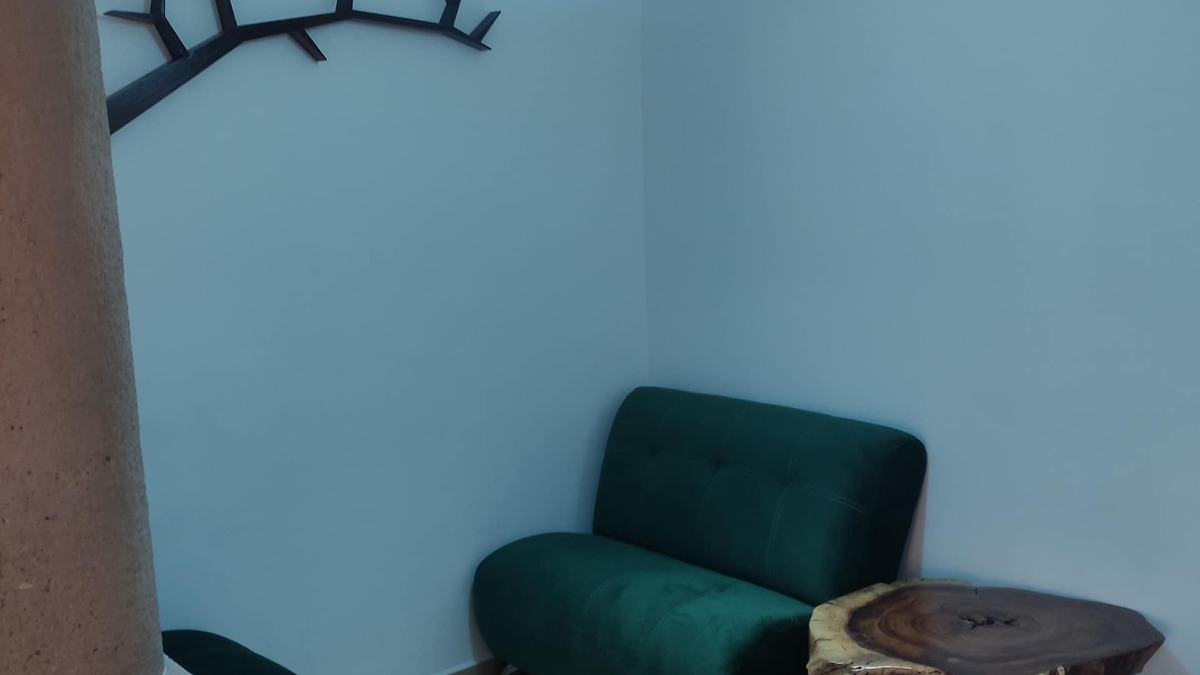 Soledad de Graciano Sanchez House | HOUSE IN PRIVATE FAMILY OR BUSINESS