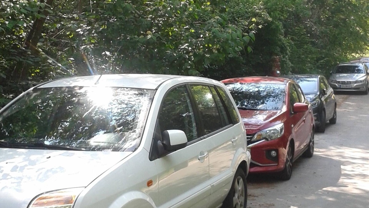 Schindeldorf House | House in the forest for up to 5 people - directly on the flow trail, Hunsfels and Hildegardis path