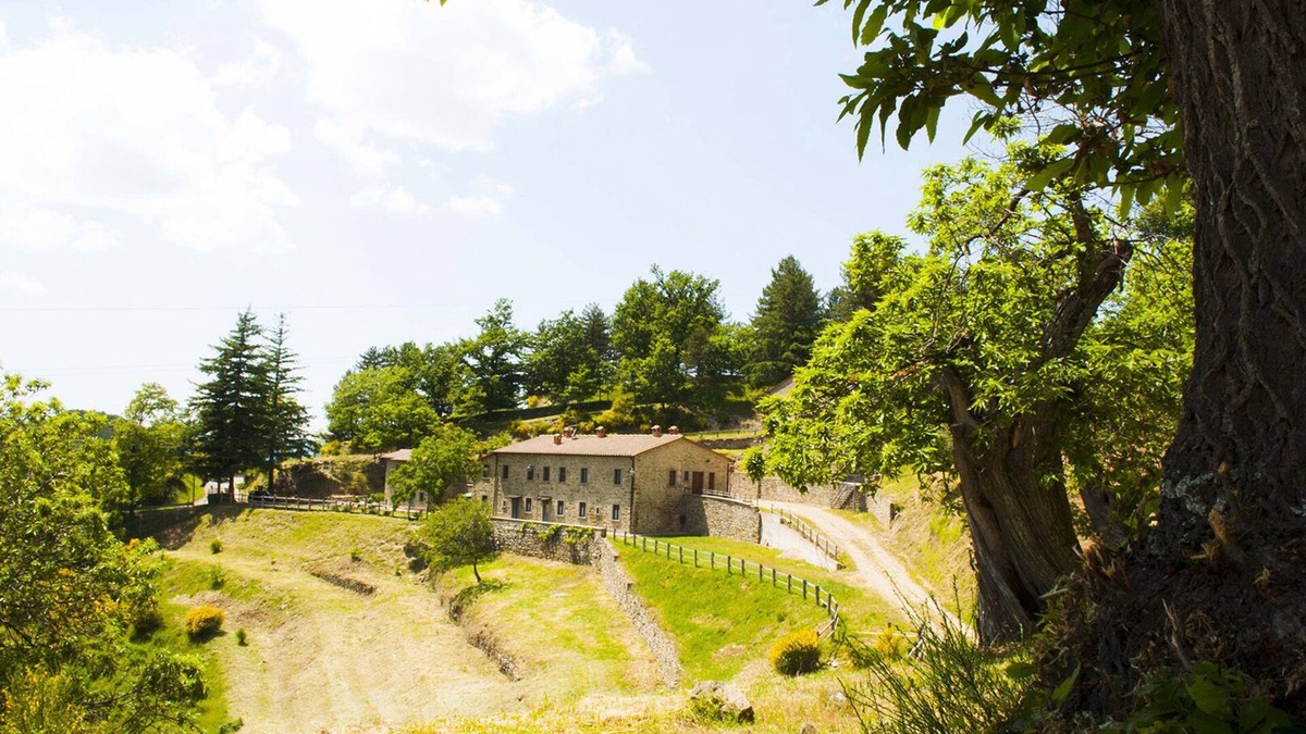 Pratovecchio House | HOUSE IN THE GREEN JUNIPER IN THE CASENTINO FORESTS PARK