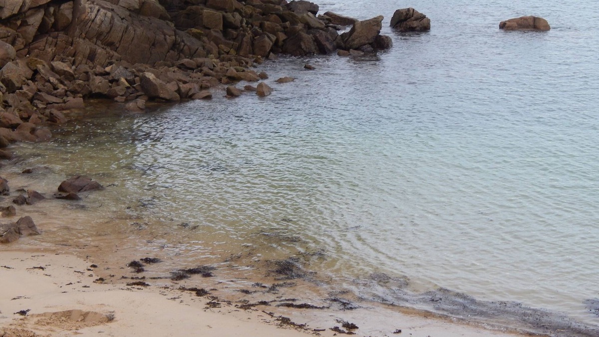 Tredrez-Locquemeau House | House near the sea, beach and small fishing port