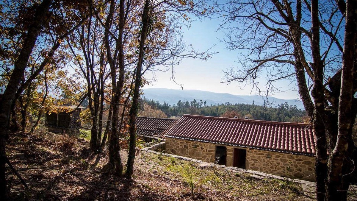 Macieira de Cambra Cottage | House of Grandfather Zé - Houses of Grandparents