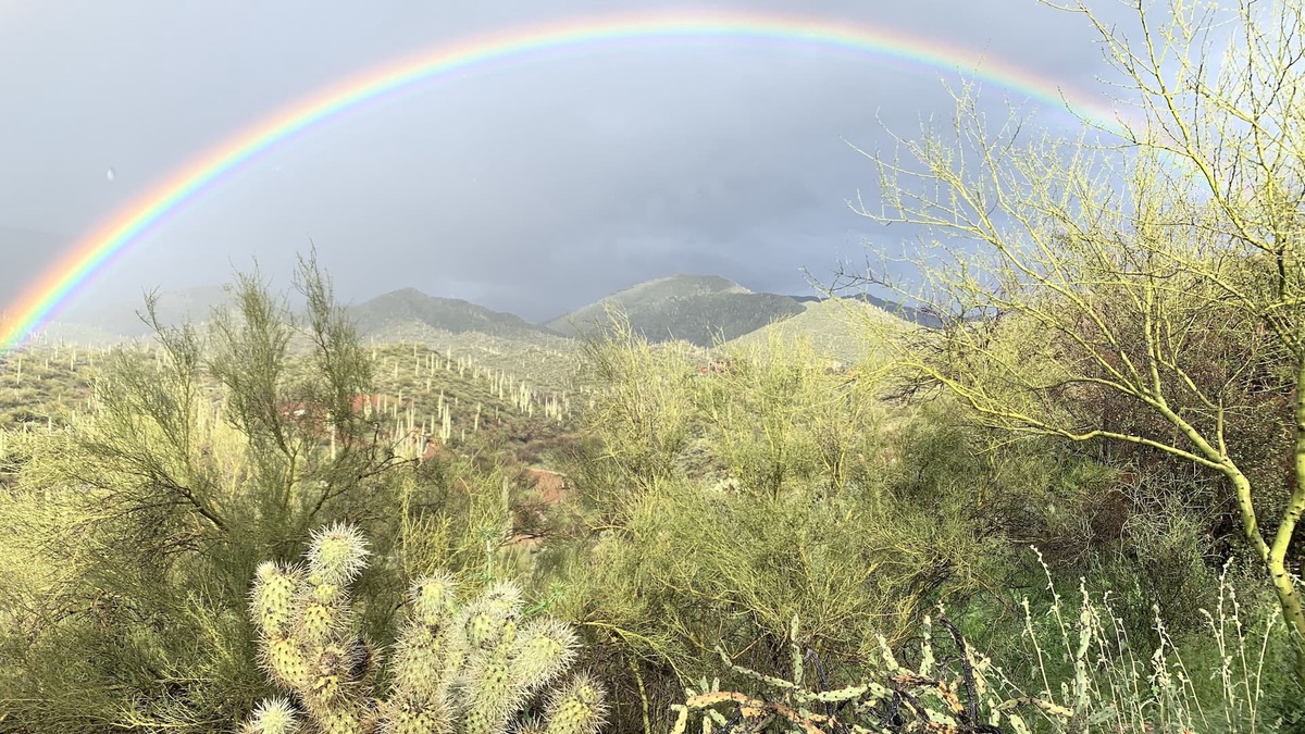 Maricopa County Cottage | "House of light" 360' views saguaro forests, canyons, mesas & mountains