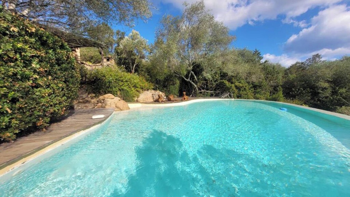 Porto-Vecchio Villa | House of Petra n. 4.
