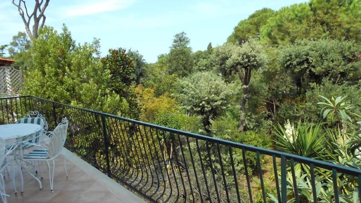 Ischia Porto Apartment | House on the island of Ischia, in pine forest with private descent to the sea.