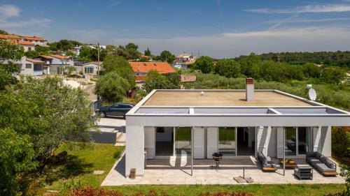 Vintijan House | House Sparrow