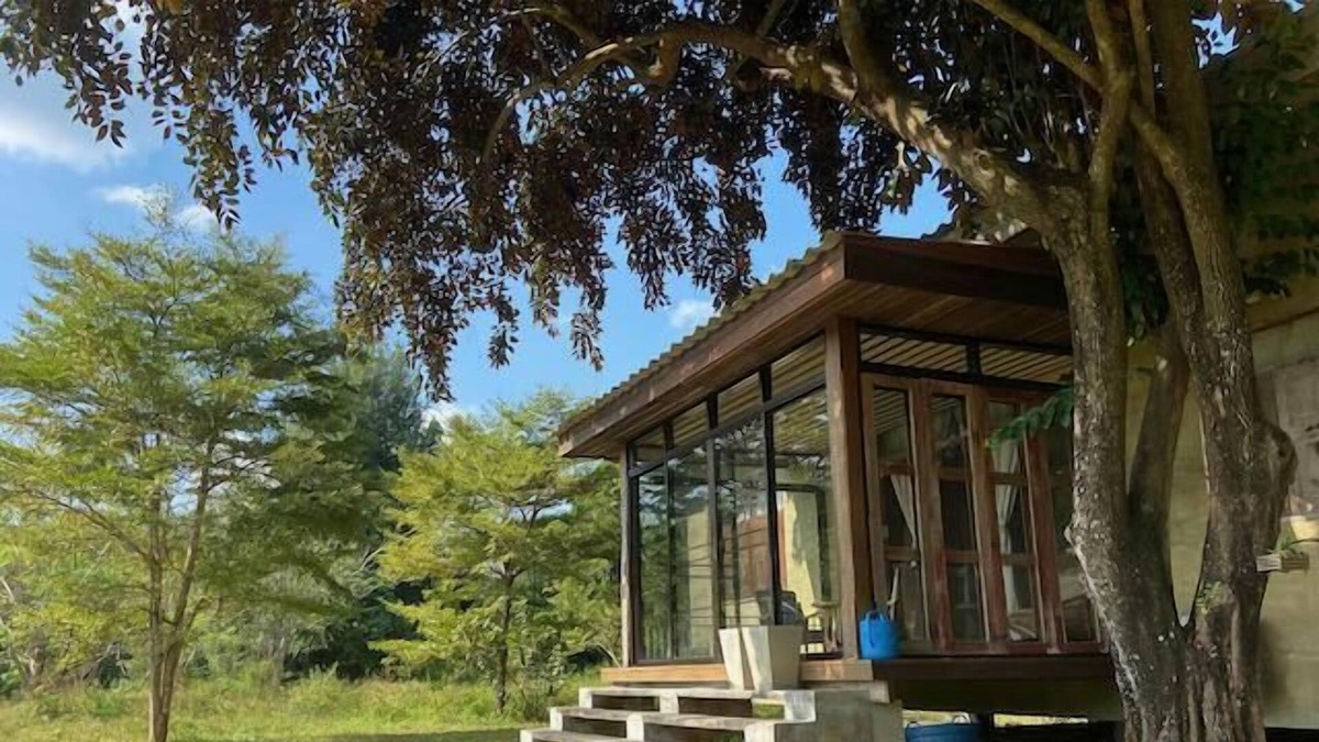 Luang Nuea House | House surrounded by nature near Tao Garden