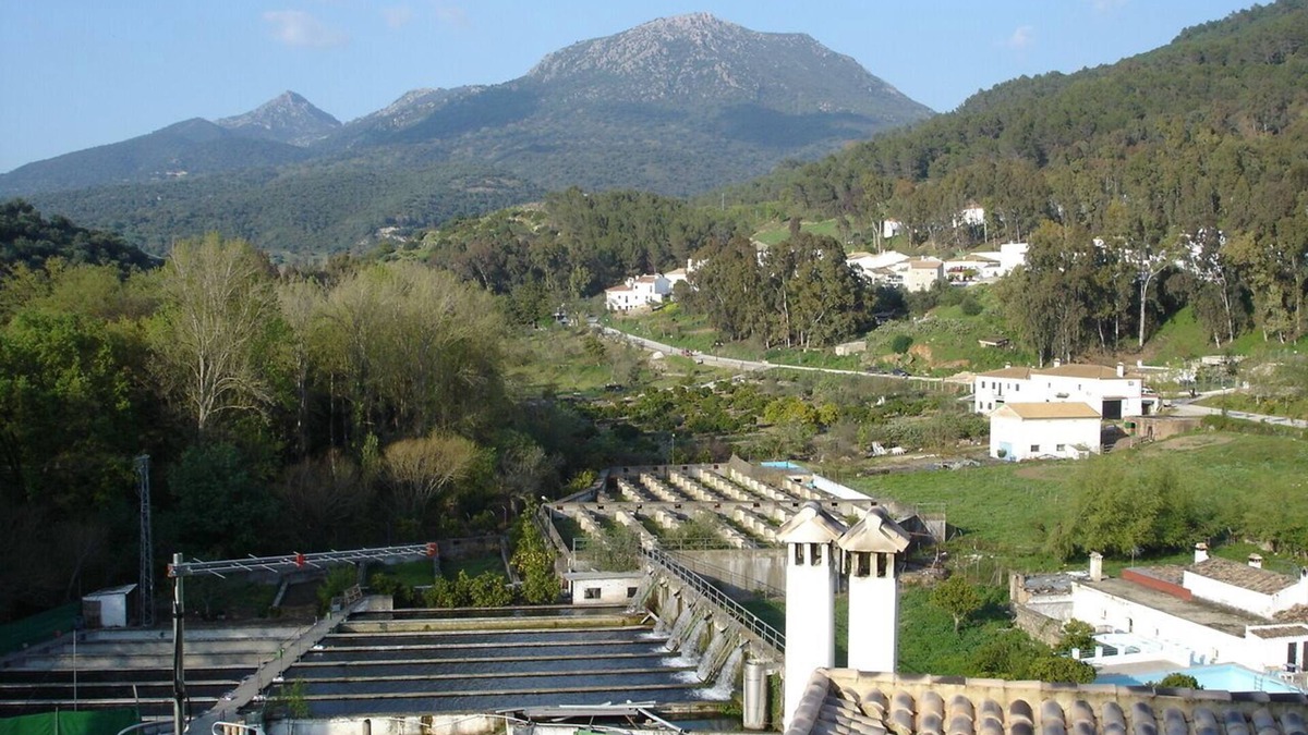 El Bosque House | House view of the Sierra