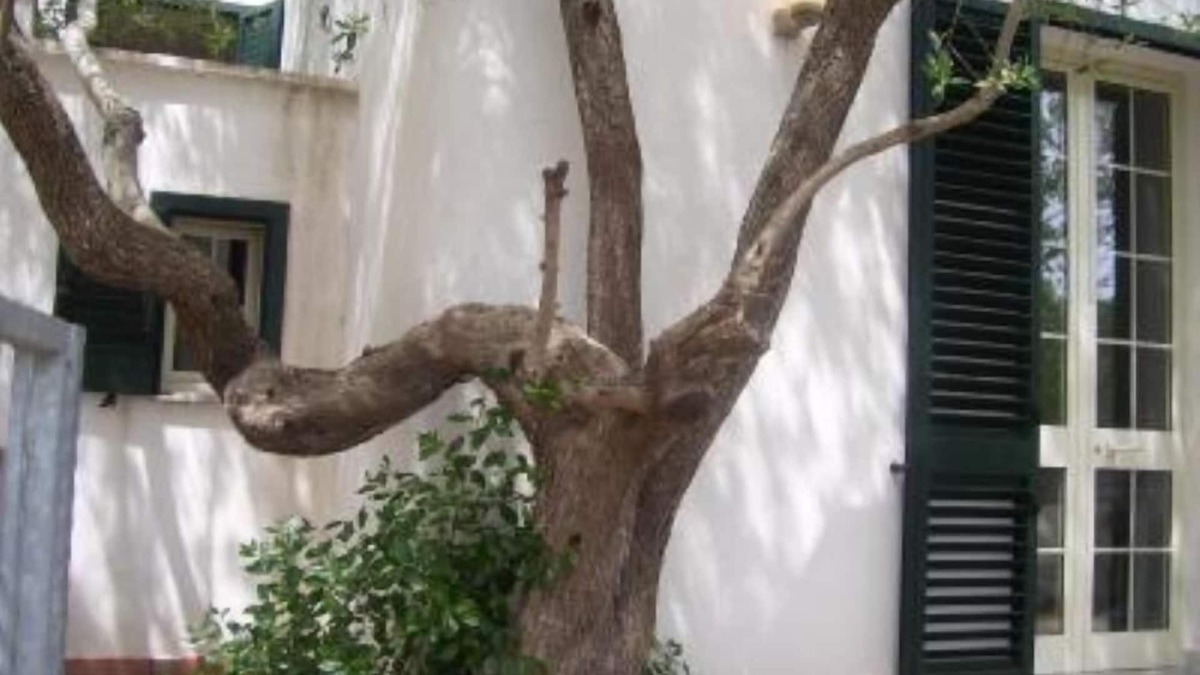 Marina di Andrano House | house/villa - 10 rooms - 16/20 persons