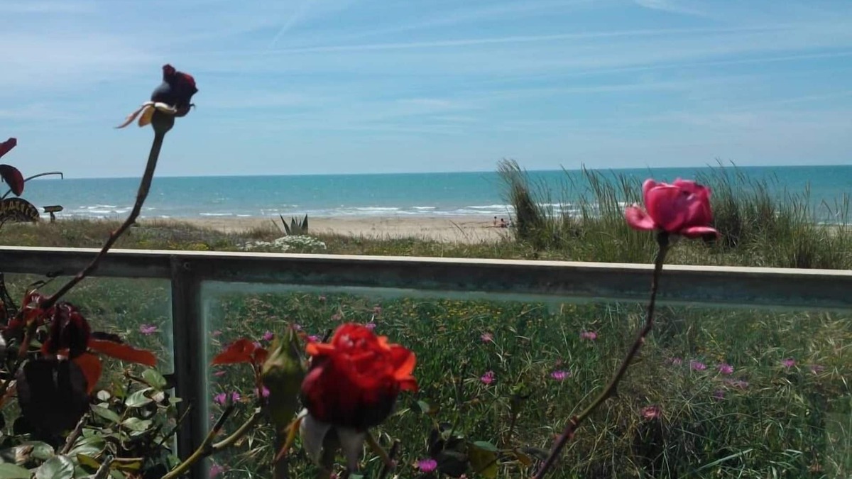 Lido dei Pini House | House/Villa - Anzio