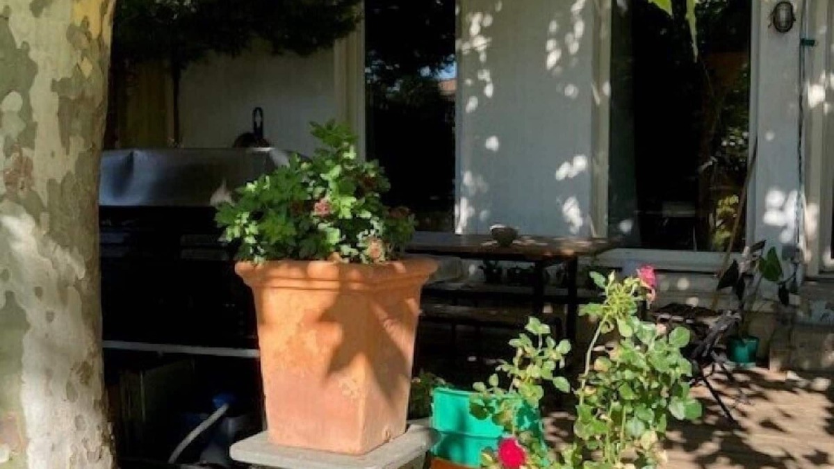 4th Arrondissement House | House with garden in the city center